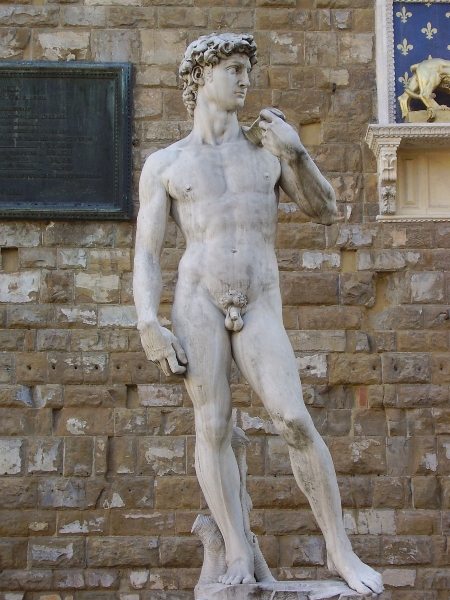 socha Davida